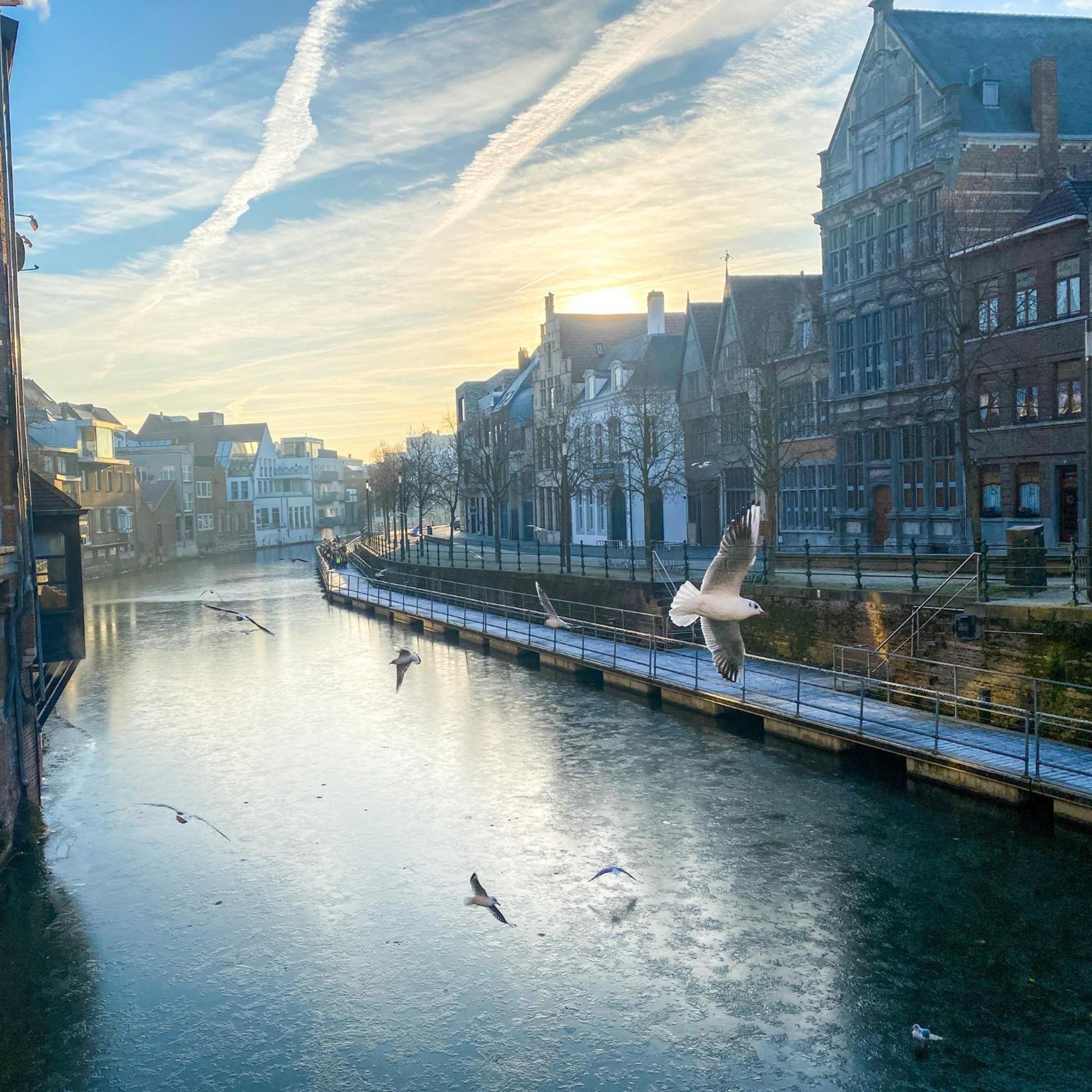 Huis Alna 2 Mechelen Dış mekan fotoğraf